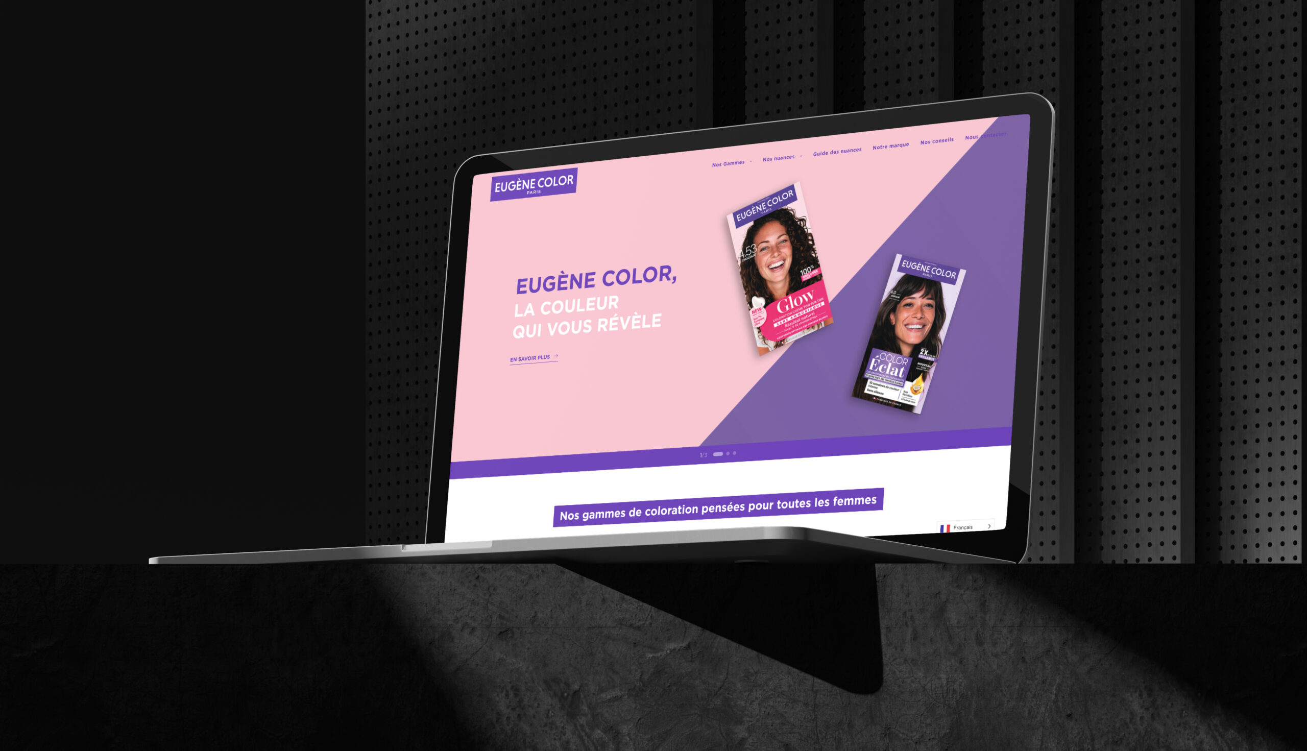 Aperçu du site Eugène Color